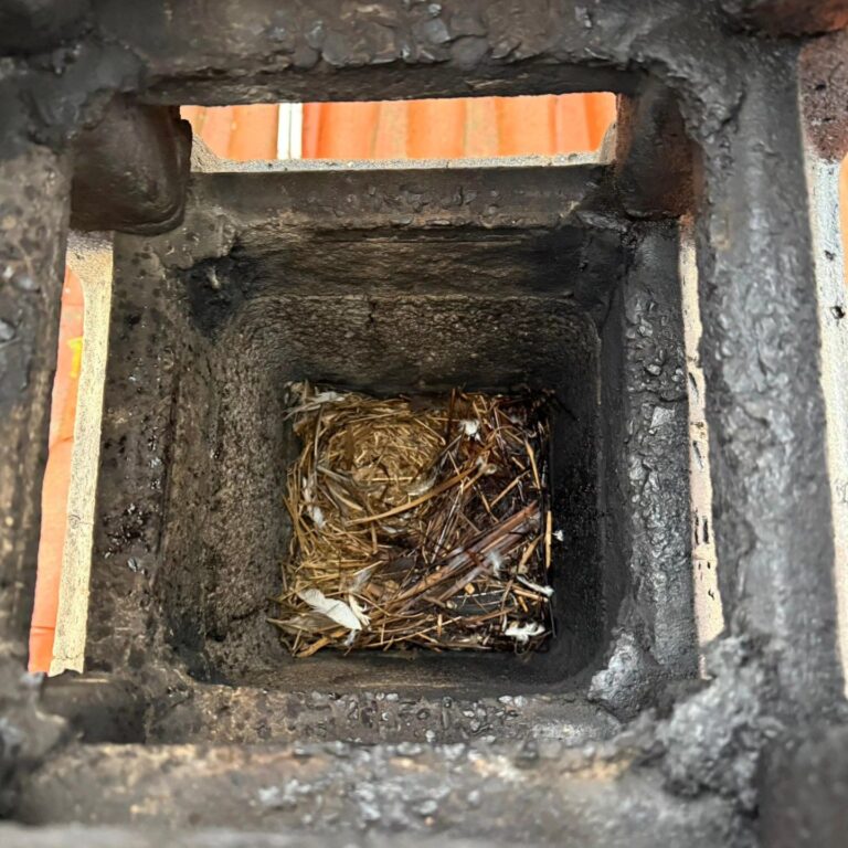 Nido di uccelli dentro la canna fumaria visto dal comignolo