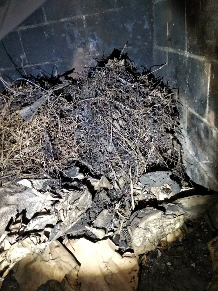 Nido di rami nel focolare di un camino, con fuliggine e carta bruciata