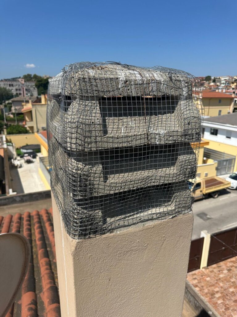 Comignolo protetto con rete anti-intrusione contro uccelli e api